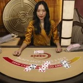 Korean Speed Blackjack D